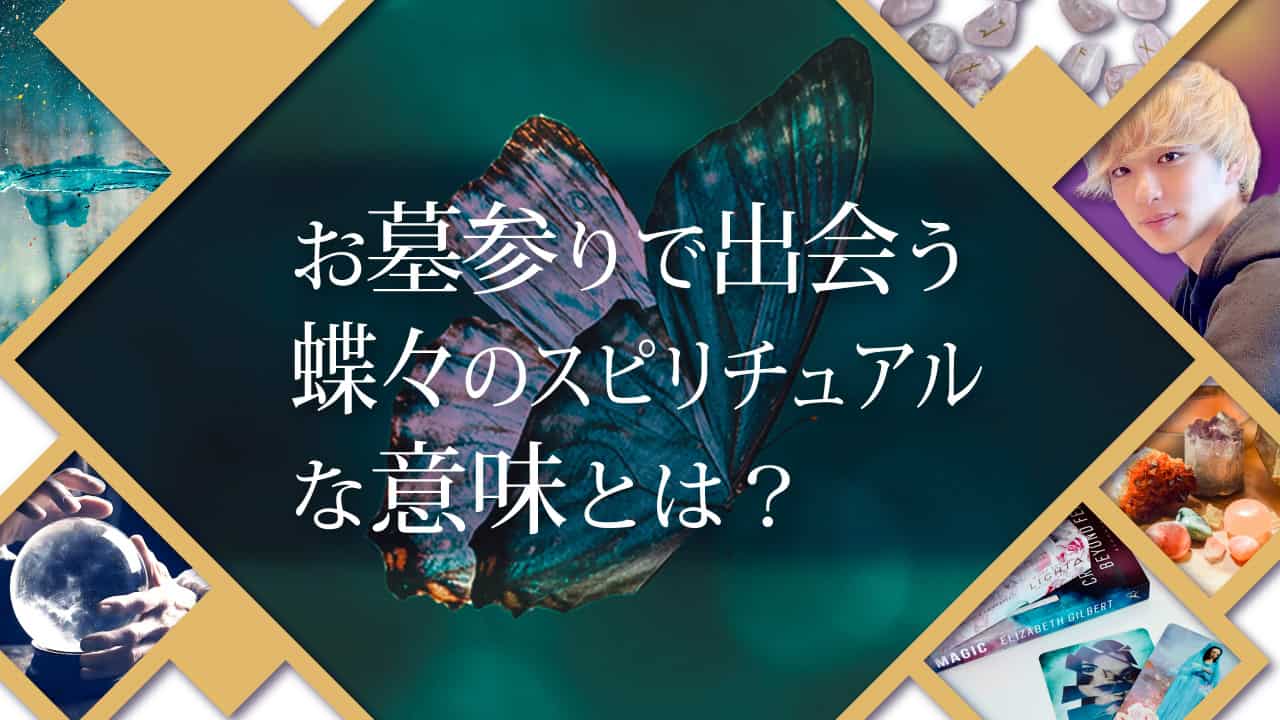 ブログアイキャッチ画像『お花で出会う蝶々のスピリチュアルな意味とは？』