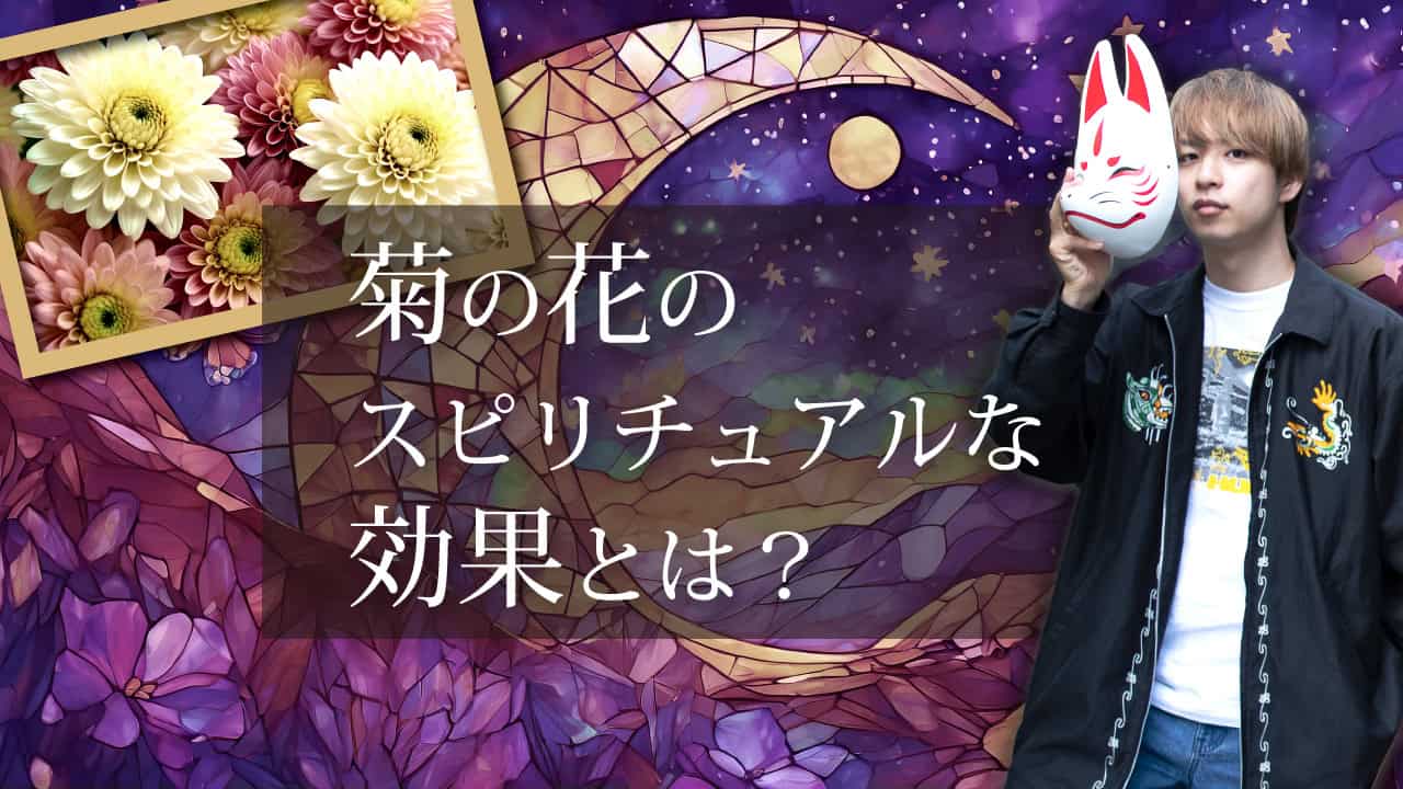 ブログアイキャッチ画像『菊の花のスピリチュアルな効果とは？』