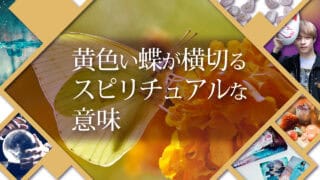 ブログアイキャッチ画像『黄色い蝶が横切るスピリチュアルな意味』