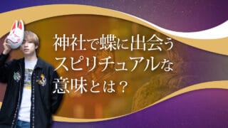 ブログアイキャッチ画像『神社で蝶に出会うスピリチュアルな意味とは？』