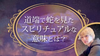ブログアイキャッチ画像『道端で蛇を見たスピリチュアルな意味とは？』