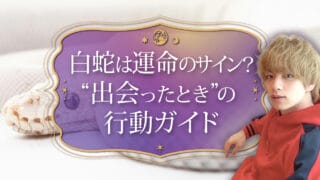 ブログアイキャッチ画像『白蛇は運命のサイン？“出会ったとき”の行動ガイド』