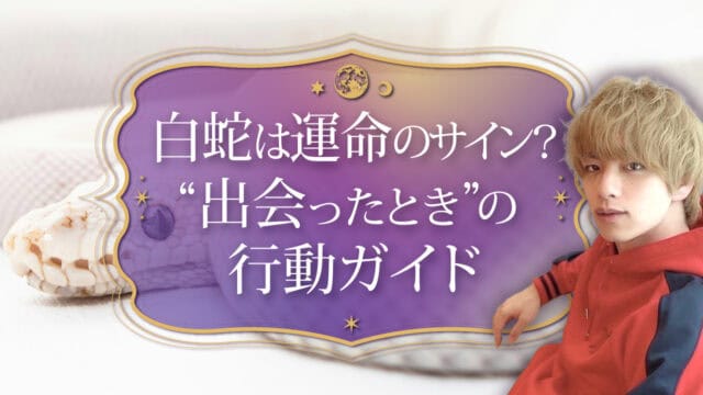 ブログアイキャッチ画像『白蛇は運命のサイン？“出会ったとき”の行動ガイド』