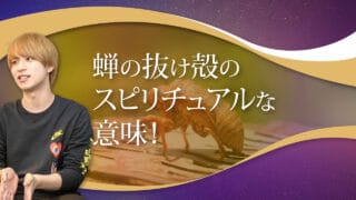 ブログアイキャッチ画像『セミの抜け殻のスピリチュアルな意味！』