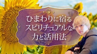 ブログアイキャッチ画像『ひまわりに宿るスピリチュアルな力と活用法』