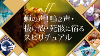ブログアイキャッチ画像『蝉の声！鳴き声・抜け殻・死骸に宿るスピリチュアル』