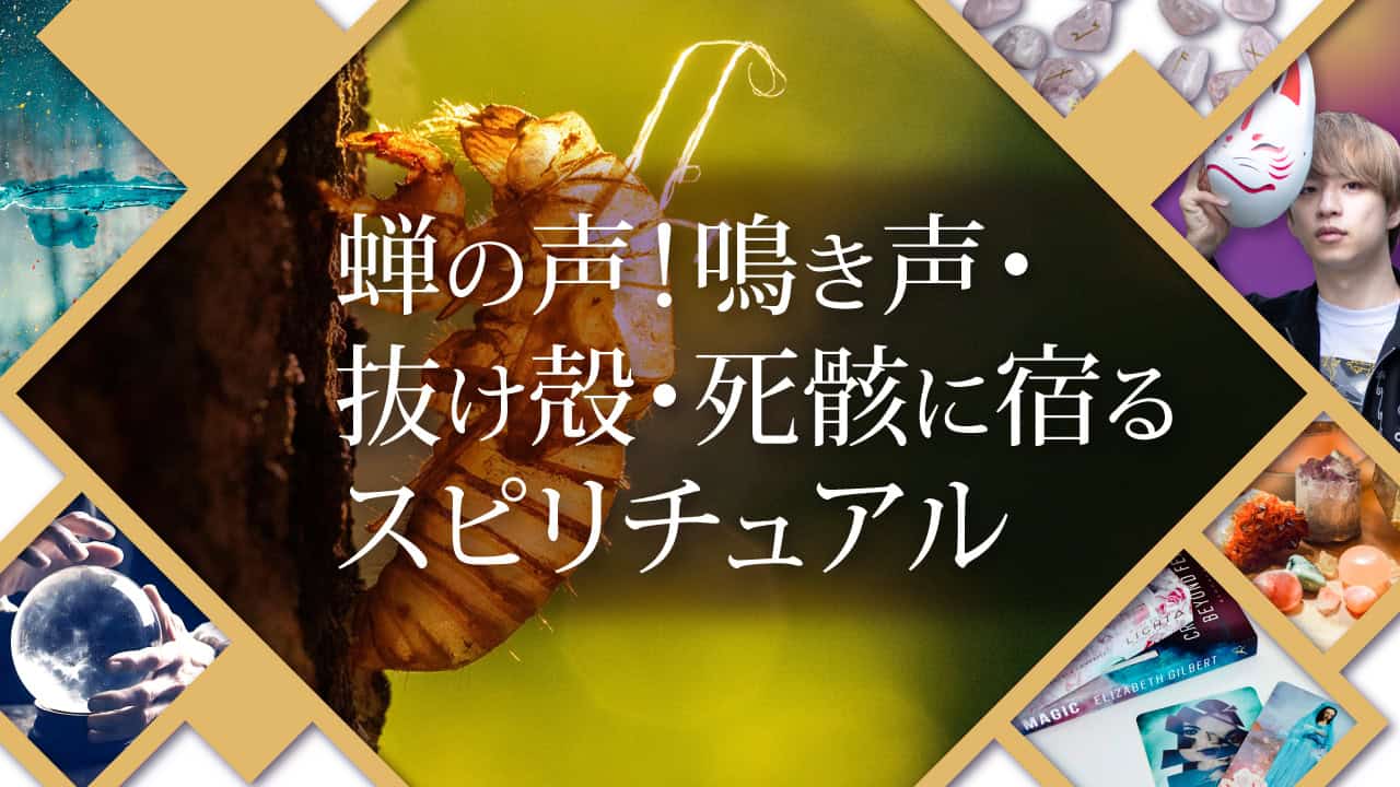 ブログアイキャッチ画像『蝉の声！鳴き声・抜け殻・死骸に宿るスピリチュアル』