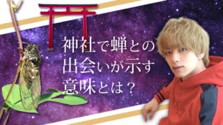 ブログアイキャッチ画像『神社で蝉との出会いが示す意味とは？』
