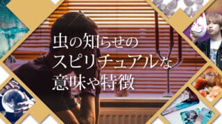 ブログアイキャッチ画像『虫の知らせのスピリチュアルな意味や特徴』