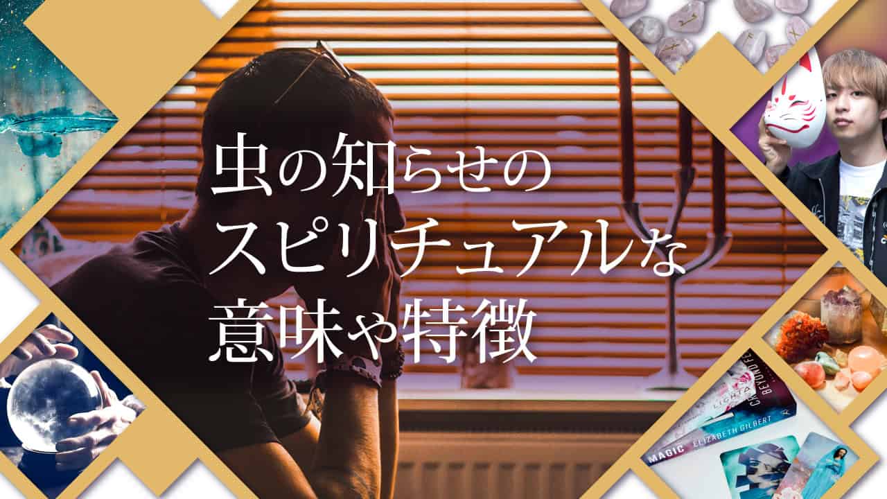 ブログアイキャッチ画像『虫の知らせのスピリチュアルな意味や特徴』