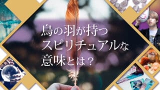 ブログアイキャッチ画像『鳥の羽が持つスピリチュアルな意味とは？』