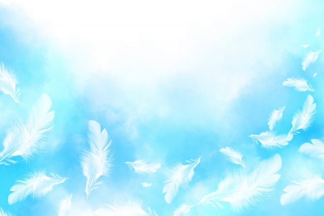 青空と羽