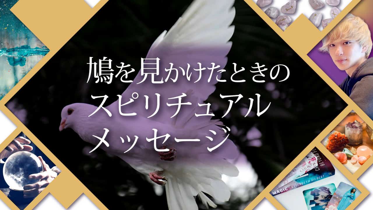 ブログアイキャッチ画像『鳩を見かけたときのスピリチュアルメッセージ』