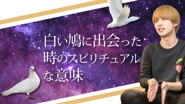 ブログアイキャッチ画像『白い鳩に出会った時のスピリチュアルな意味』