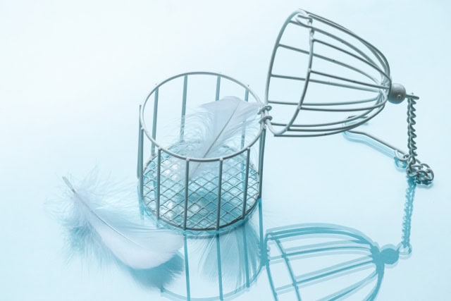 鳥かごから心を解放する