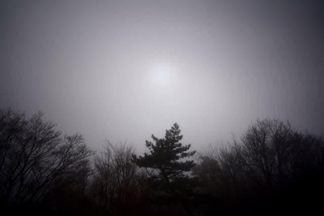 暗い森と低次元のスピリチュアル