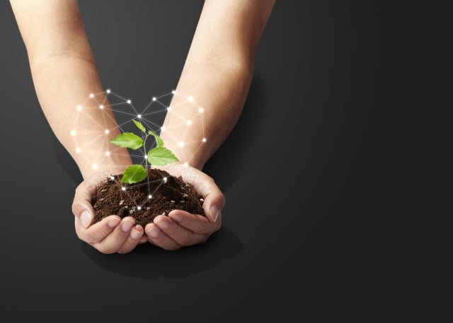 芽が出て成長するイメージ