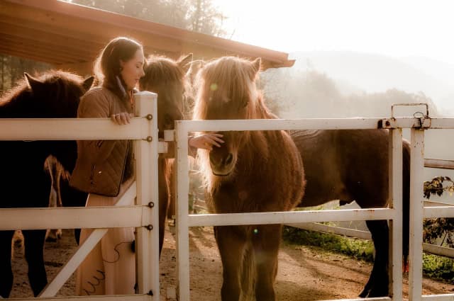 馬をなでる女性