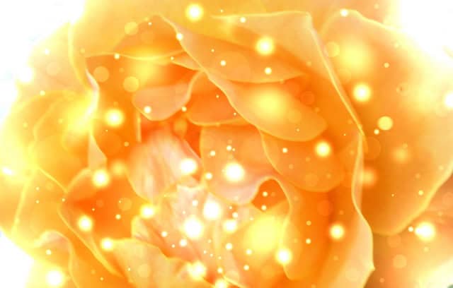 金運のイメージ画像