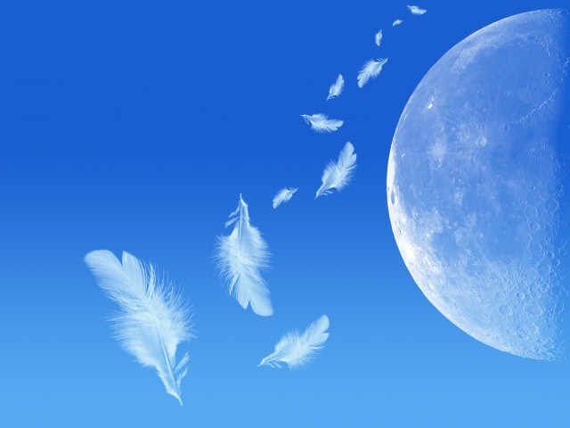 羽の月のイメージ