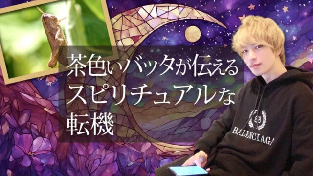 ブログアイキャッチ画像『茶色いバッタが伝えるスピリチュアルな転機』