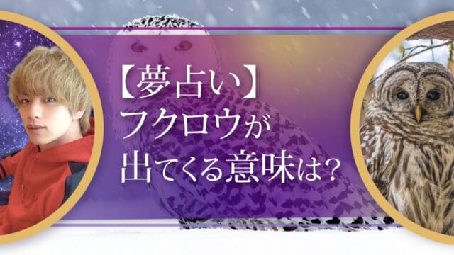 ブログアイキャッチ画像『【夢占い】フクロウが出てくる意味は？』