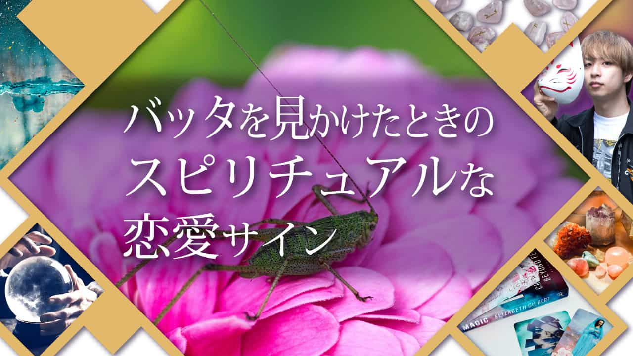 ブログアイキャッチ画像『バッタを見かけたときのスピリチュアルな恋愛サイン』