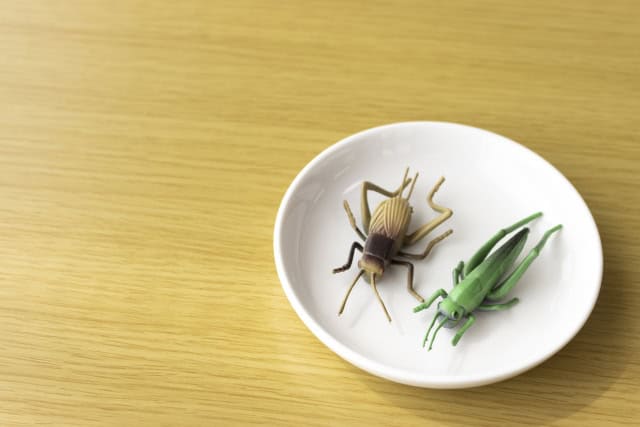 茶色いバッタと緑のバッタのモチーフ