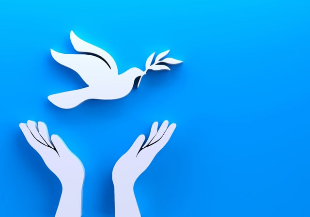 両手と鳥