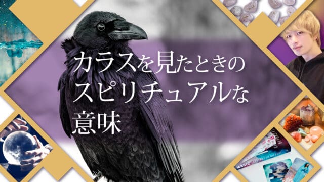ブログアイキャッチ画像『カラスを見たときのスピリチュアルな意味』